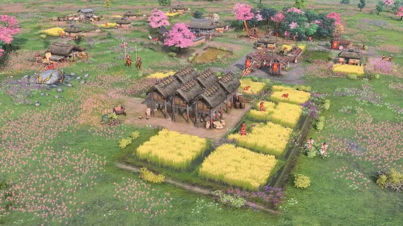 Age of Empires IV: The Sultans Ascend gameplay screenshot 1
