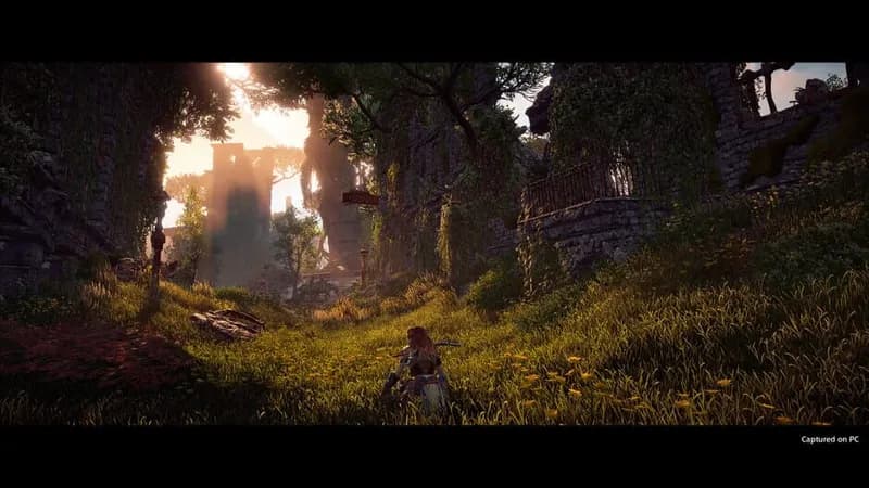 Horizon Zero Dawn Complete Edition gameplay screenshot 2
