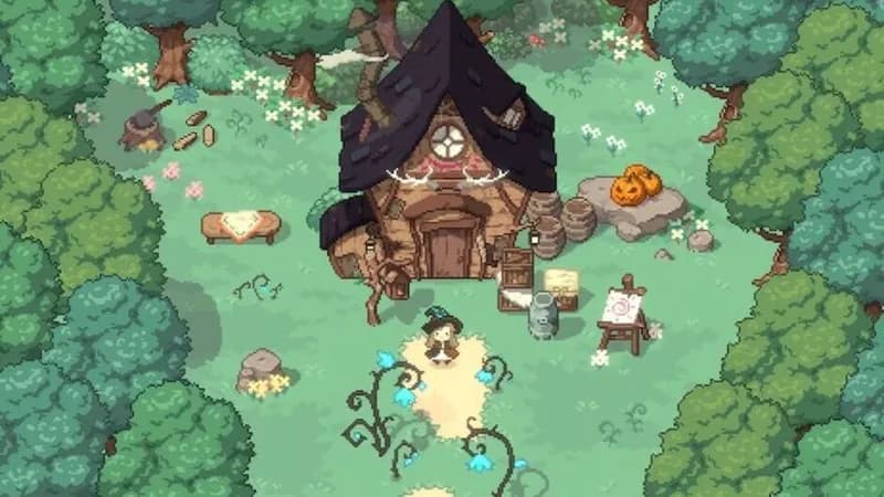 Little Witch in the Woods gameplay screenshot 4