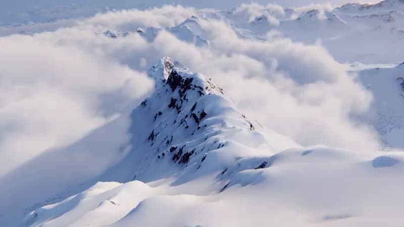 Shredders gameplay screenshot 1