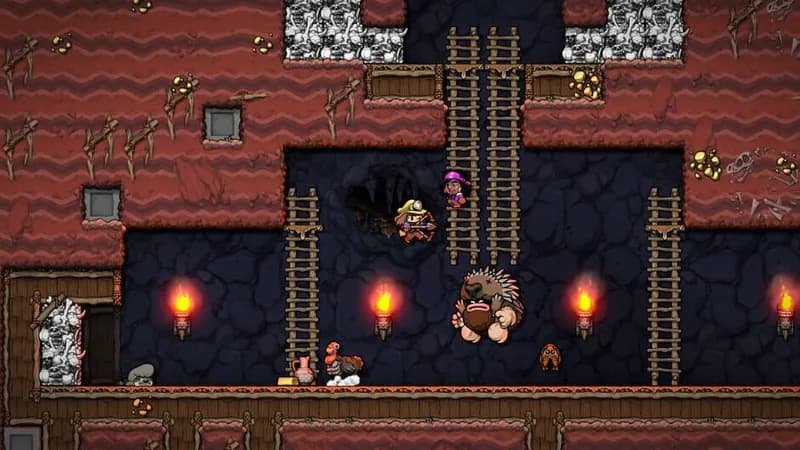 Spelunky 2 gameplay screenshot 4