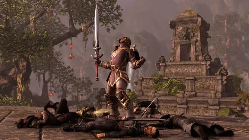 The Elder Scrolls Online gameplay screenshot 2