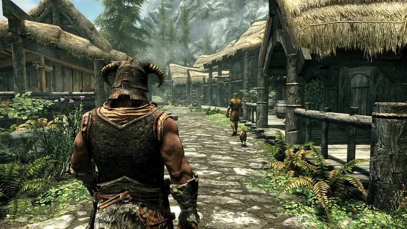 The Elder Scrolls V: Skyrim Special Edition gameplay screenshot 1