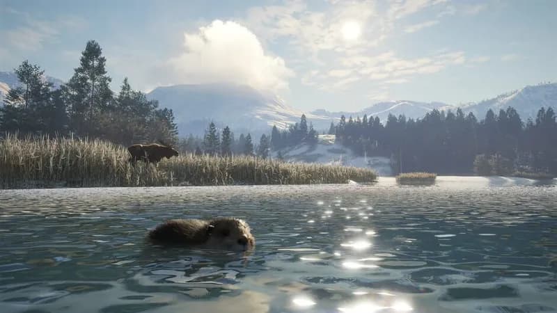 theHunter: Call of the Wild - Alberta Hunting Preserve gameplay screenshot 4