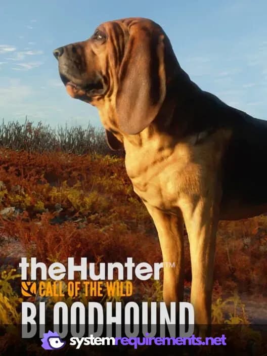 theHunter: Call of the Wild - Bloodhound cover art - view system requirements