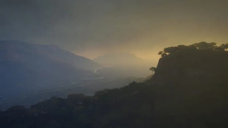 theHunter: Call of the Wild - Emerald Coast Australia gameplay screenshot 1