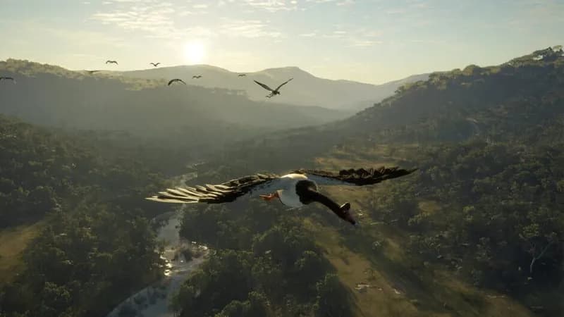 theHunter: Call of the Wild - Emerald Coast Australia gameplay screenshot 4