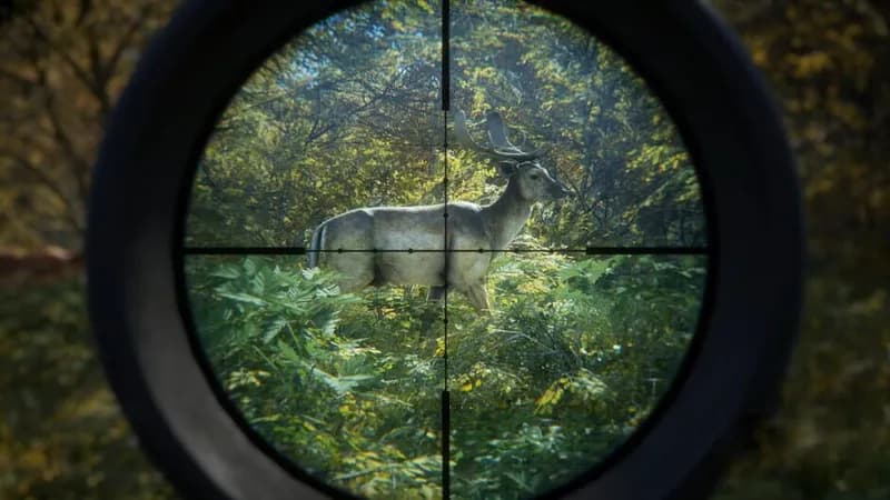 theHunter: Call of the Wild gameplay screenshot 3