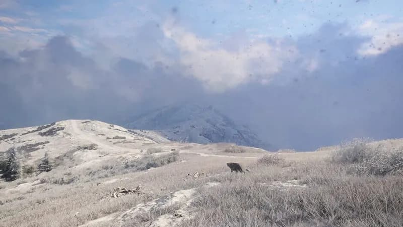 theHunter: Call of the Wild - Sundarpatan Nepal Hunting Reserve gameplay screenshot 2